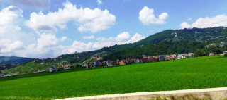 खोपासी फाँटमा देखिएको हरियाली धानखेती