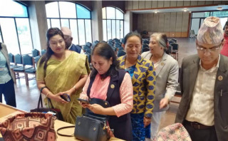 उपसभामुखमा एमालेबाट विद्या भट्टराईको उम्मेदवारी दर्ता
