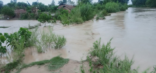 बाढीको त्रासले भजनीमा सयौँ बिघा जमिन बाँझै