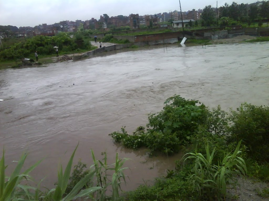 मनोहरा खोलाबाट बस्तीमा पस्यो बाढी
