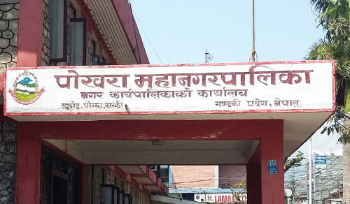 घाँस उत्पादन गर्ने किसानलाई महानगरबाट अनुदान