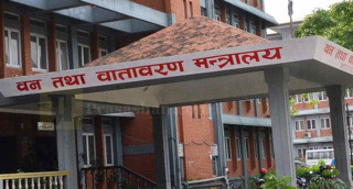 आजबाट ४० माइक्रोनभन्दा पातलो प्लास्टिकको झोला प्रयोगमा रोक