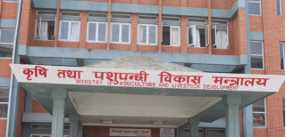 नेपालमा पनि बढ्दैछ खाद्य असुरक्षा