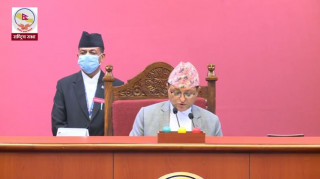डेङ्गु नियन्त्रण गर्न ध्यानाकर्षण