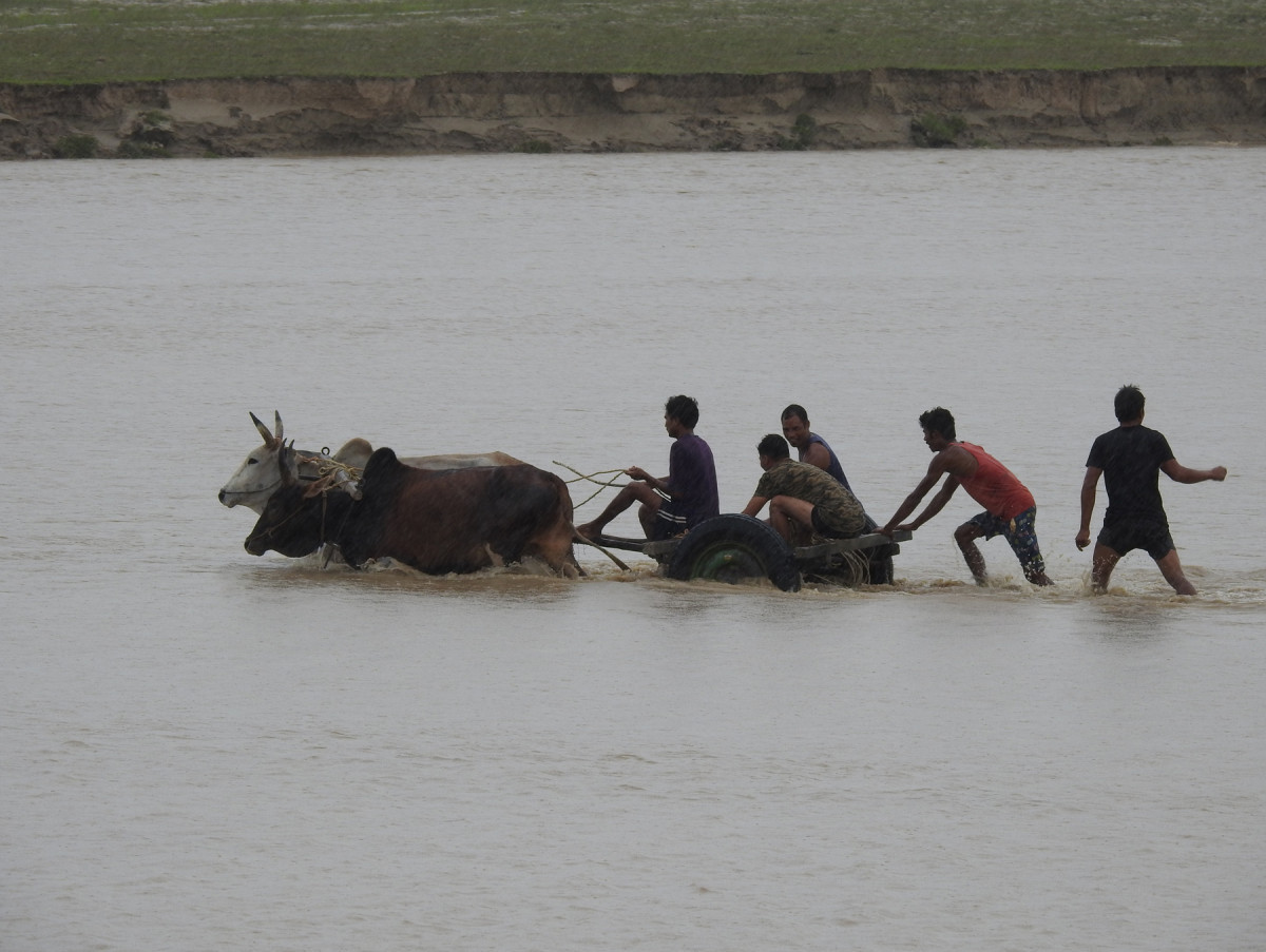 जोखिम मोलेर बैलगाडा यात्रा