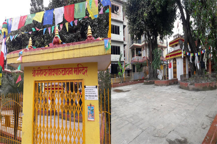 एक दिने नि:शुल्क दन्त परिक्षण शिविर आयोजना हुने 