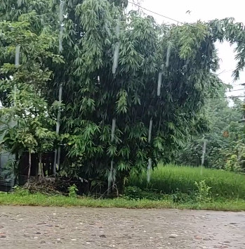 कहिले रोकिएला पानी पर्न  ?