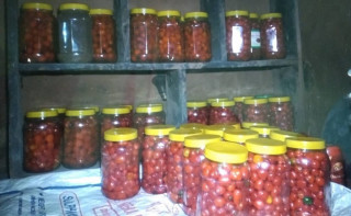 अकबरे खुर्सानीको अचार बेचेर लाखौँ आम्दानी