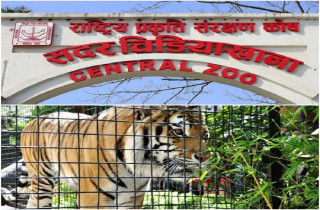 मतदानको दिन सदर चिडियाखाना बन्द हुने