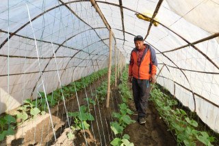 उहिले निकुञ्ज विस्थापित, अहिले तरकारीबाट लखपति