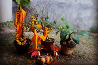 आज हरिशयनी एकादशी पर्व