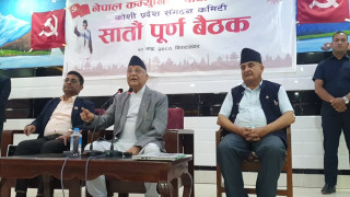 पूर्वराष्ट्रपति भण्डारीलाई राजनीतिमा निषेध गरिएको छैनः केपी ओली