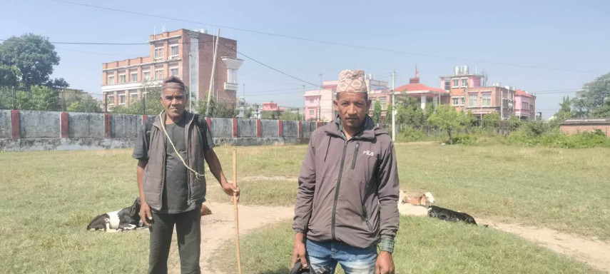 खसीबोका बिक्री नहुँदा किसान चिन्तित