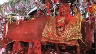 पाथीभरामा हिमपात