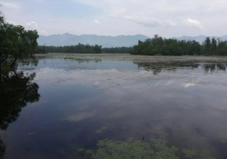 सन्दर्भ विश्व सिमसार दिवस : अत्यधिक दोहनले सङ्कटमा सिमसार