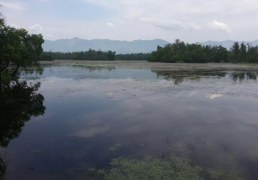 सन्दर्भ विश्व सिमसार दिवस : अत्यधिक दोहनले सङ्कटमा सिमसार
