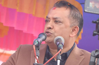 नागरिकको गुनासो बढ्यो : महामन्त्री थापा