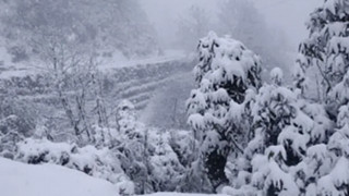 आज यी तीन स्थानमा वर्षा, लुम्बिनी प्रदेशमा हावाहुरी