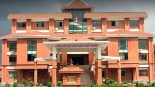 सरकारी जग्गा व्यक्तिका नाममा दर्ता गर्ने सरकारी कर्मचारीसहित एक सय ७२ जनाविरुद्ध मुद्दा दायर