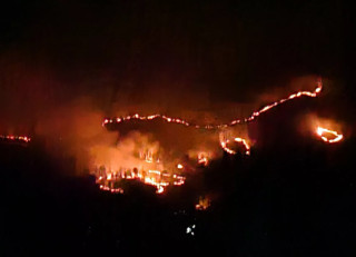 डढेलोले म्याग्दीमा सात सय हेक्टर वन सखाप, घरभित्रै छिर्न थाले बँदेल, दुम्सी र बाँदर
