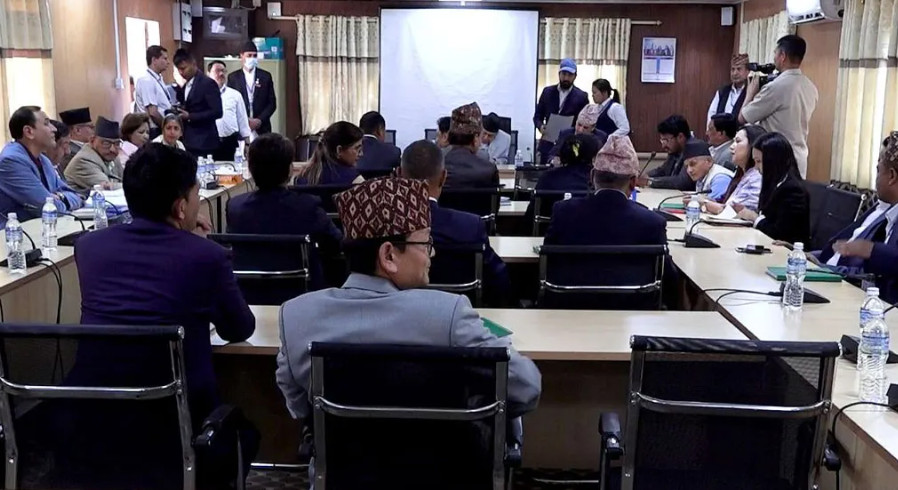 संसद् अधिवेशनमा आवश्यक भूमिका खेल्न सभामुखको आग्रह