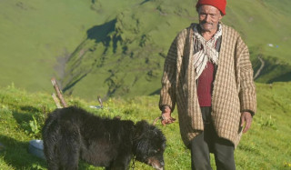 ‘कुकुरबिनाको गोठालाको कल्पना गर्न सकिँदैन’