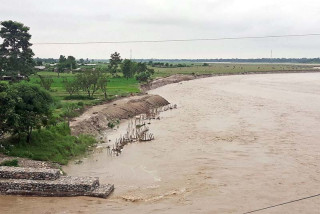 बिरुवा रोपेर झापामा विश्व वातावरण दिवस मनाइयो