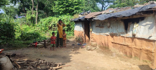 फेरियो लोपोन्मुख राउटेको जीवनशैली