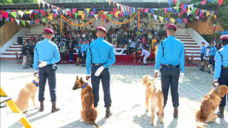 आज दीपावलीको दोस्रो दिन : कुकुर तिहार मनाईदै