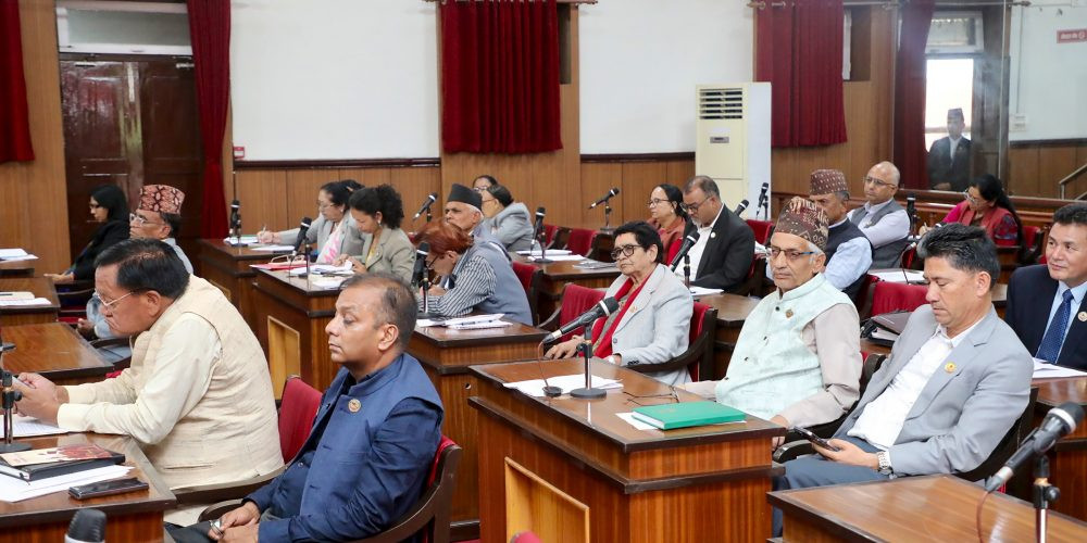 ग्याँस अभावप्रति सरकारको ध्यानाकर्षण, समस्या तत्काल समाधान गर्न सांसदहरूको माग